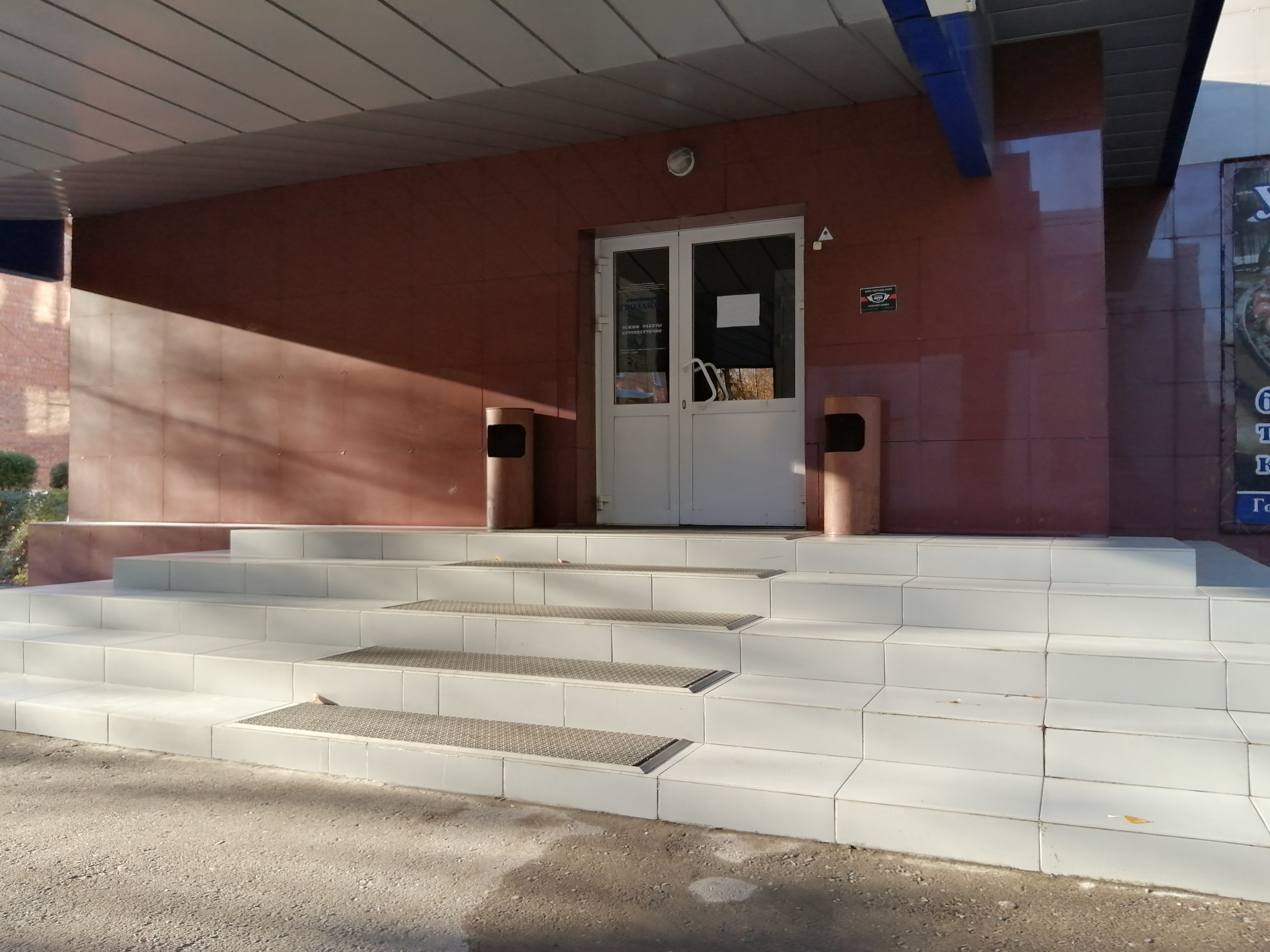 Фото Гвоздика