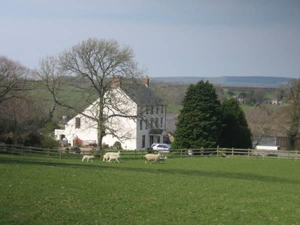Фото East Hook Farm & Country House
