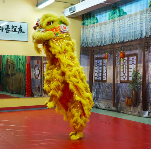 Spor okulları Golden Dragon, Moskova, foto