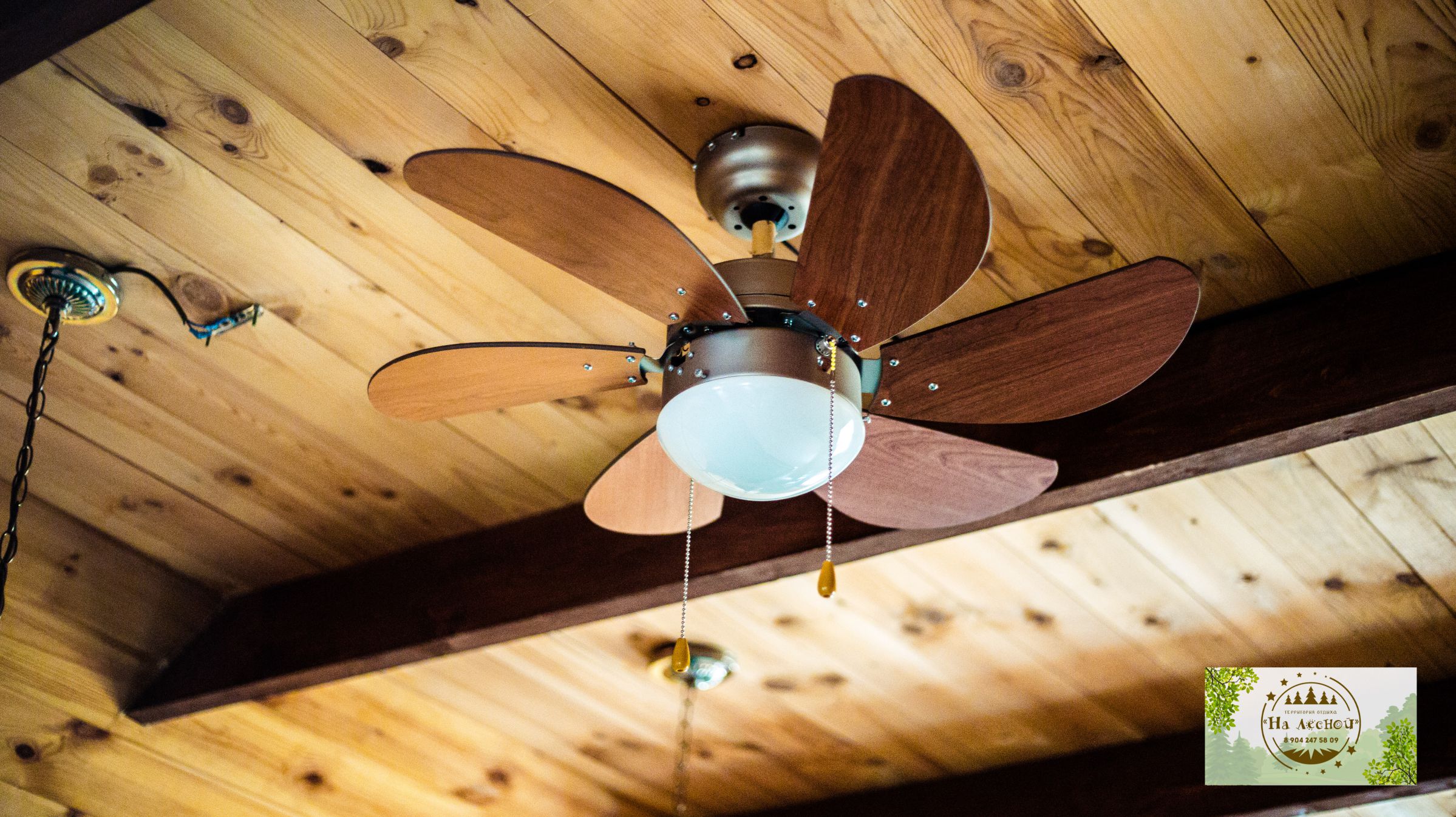 Фото Дача на лесной