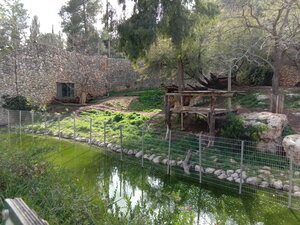 Библейский зоопарк (Иерусалим, дорога Аарон Шулов, 898), парк культуры и отдыха в Иерусалиме