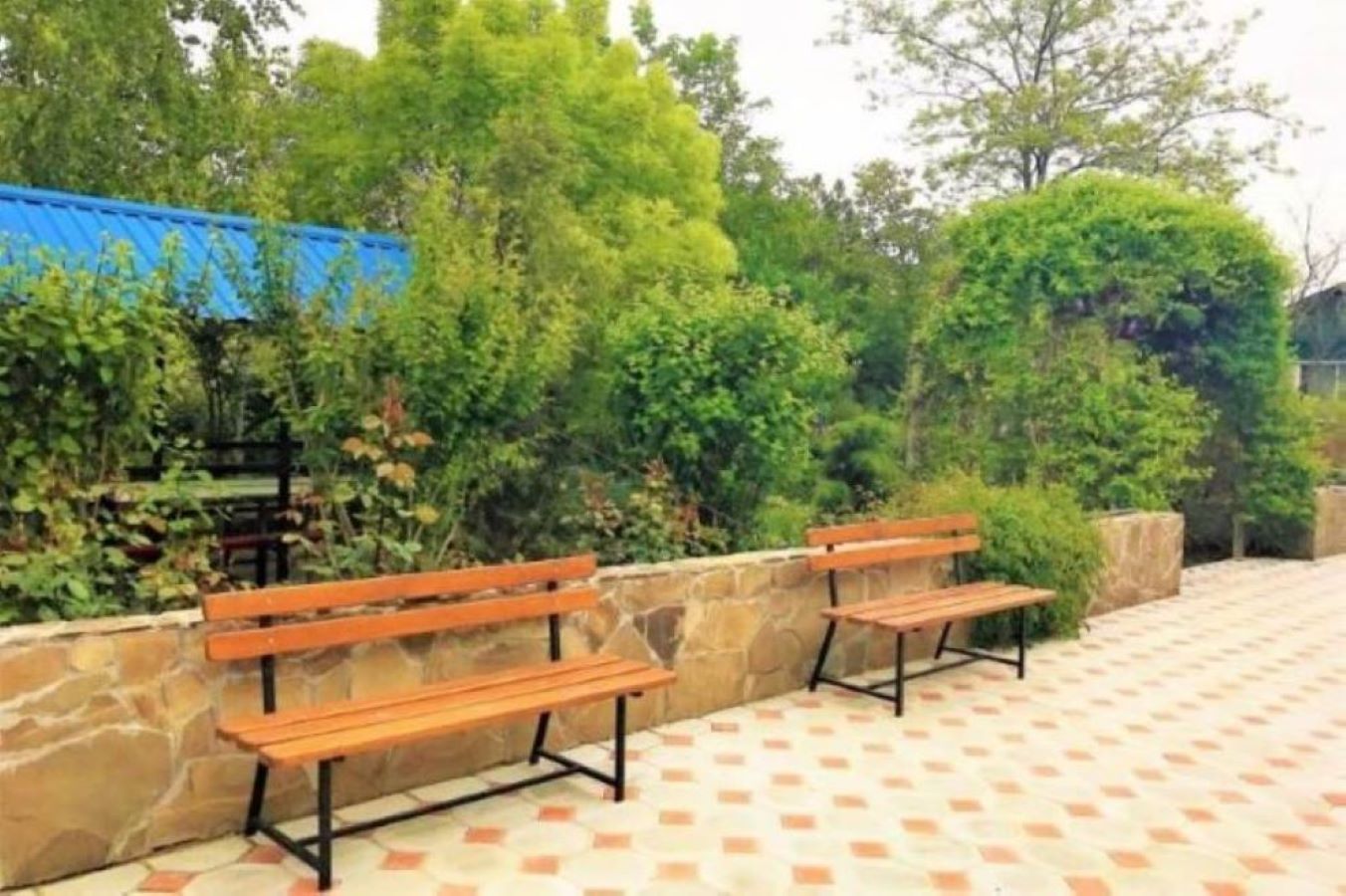 Фото Солнышко