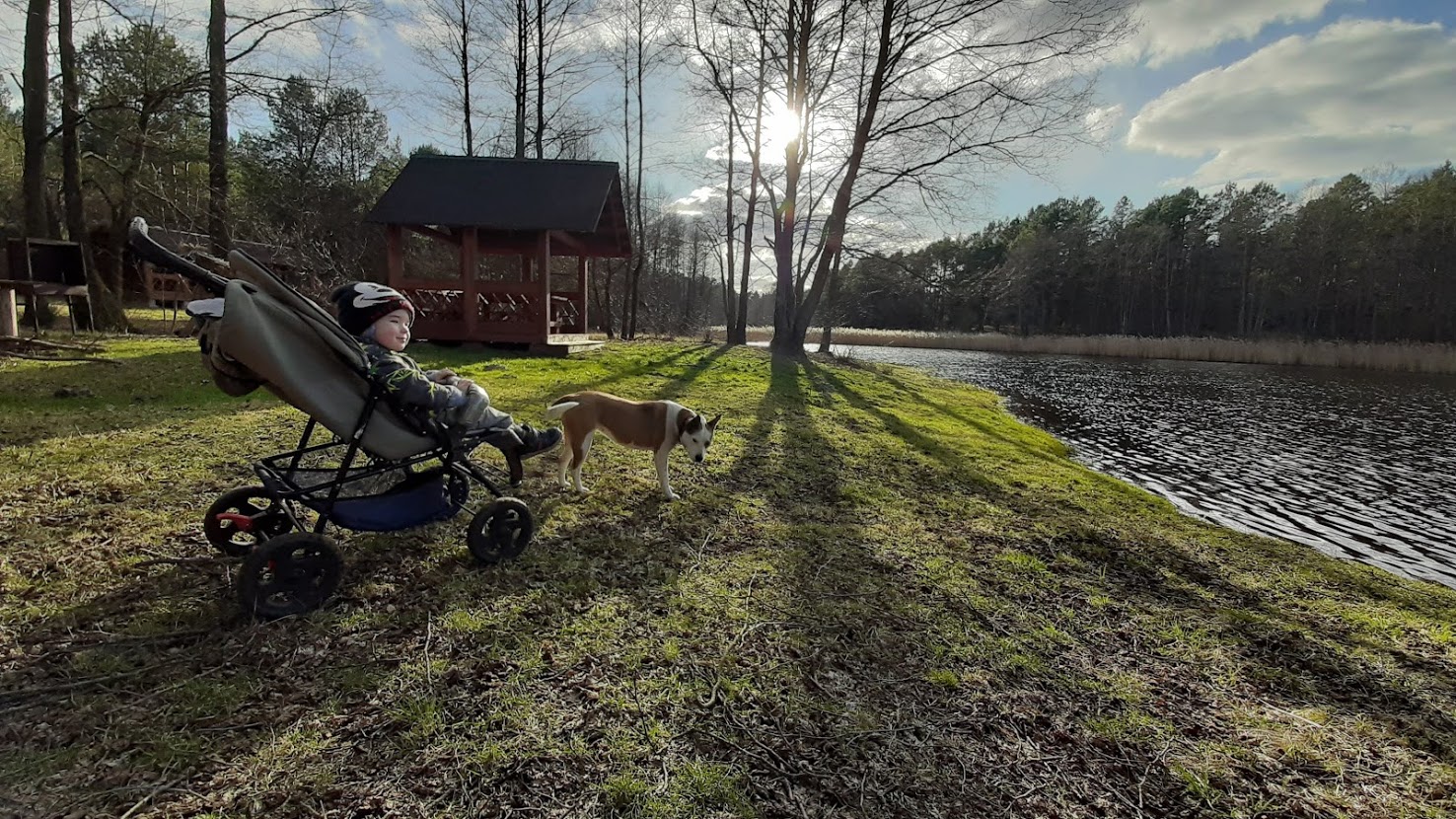 Фото Агроусадьба Лесной Эдем
