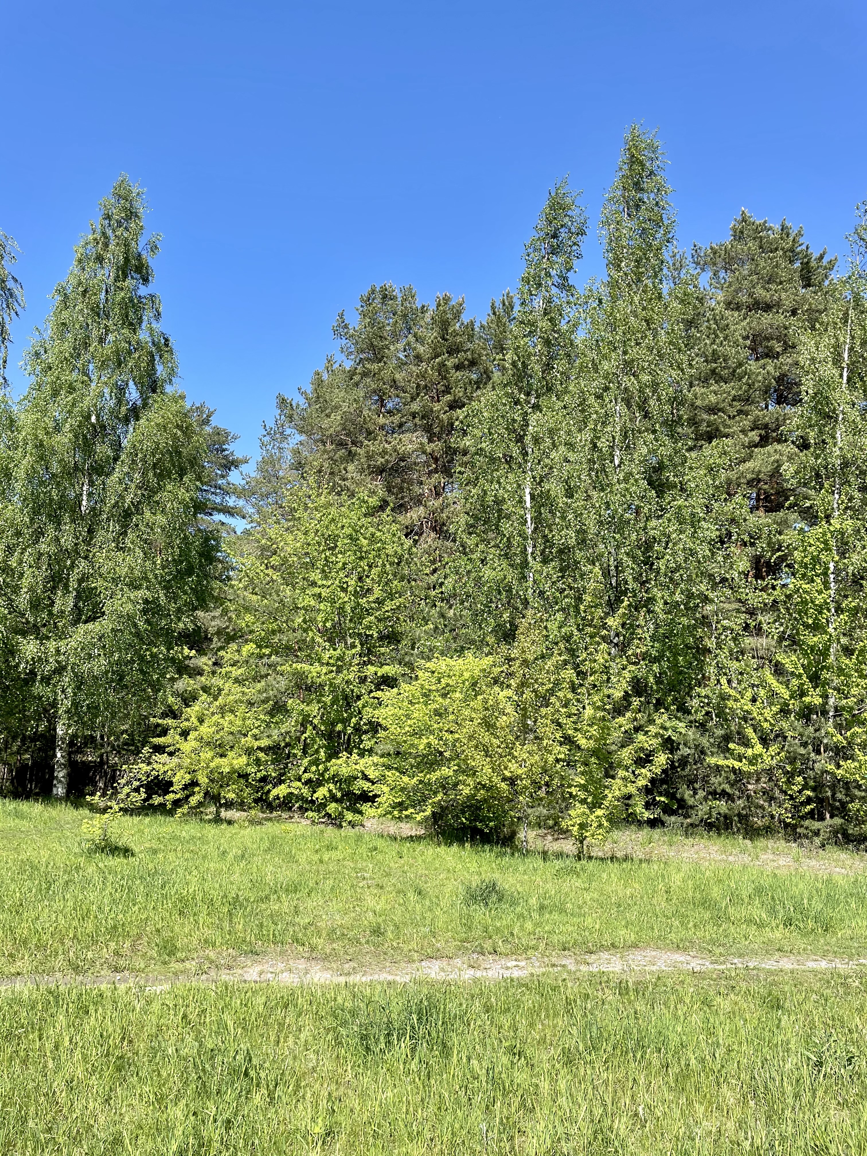 Фото Гостиница Ленинградская АЭС-Авто