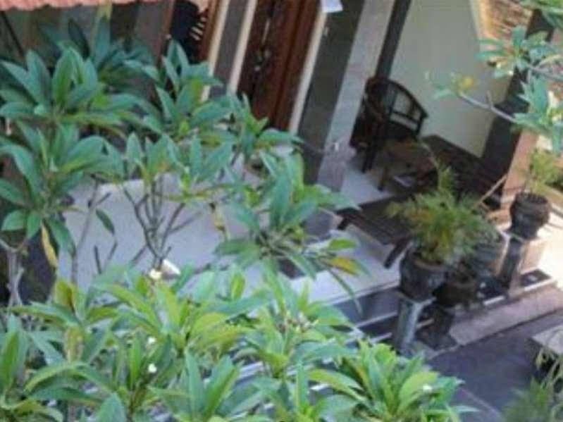 Фото Jungut Guest House