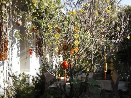 Фото Duc Thao Hotel