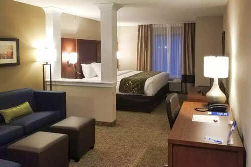 Гостиница Comfort Inn & Suites Schenectady - Scotia