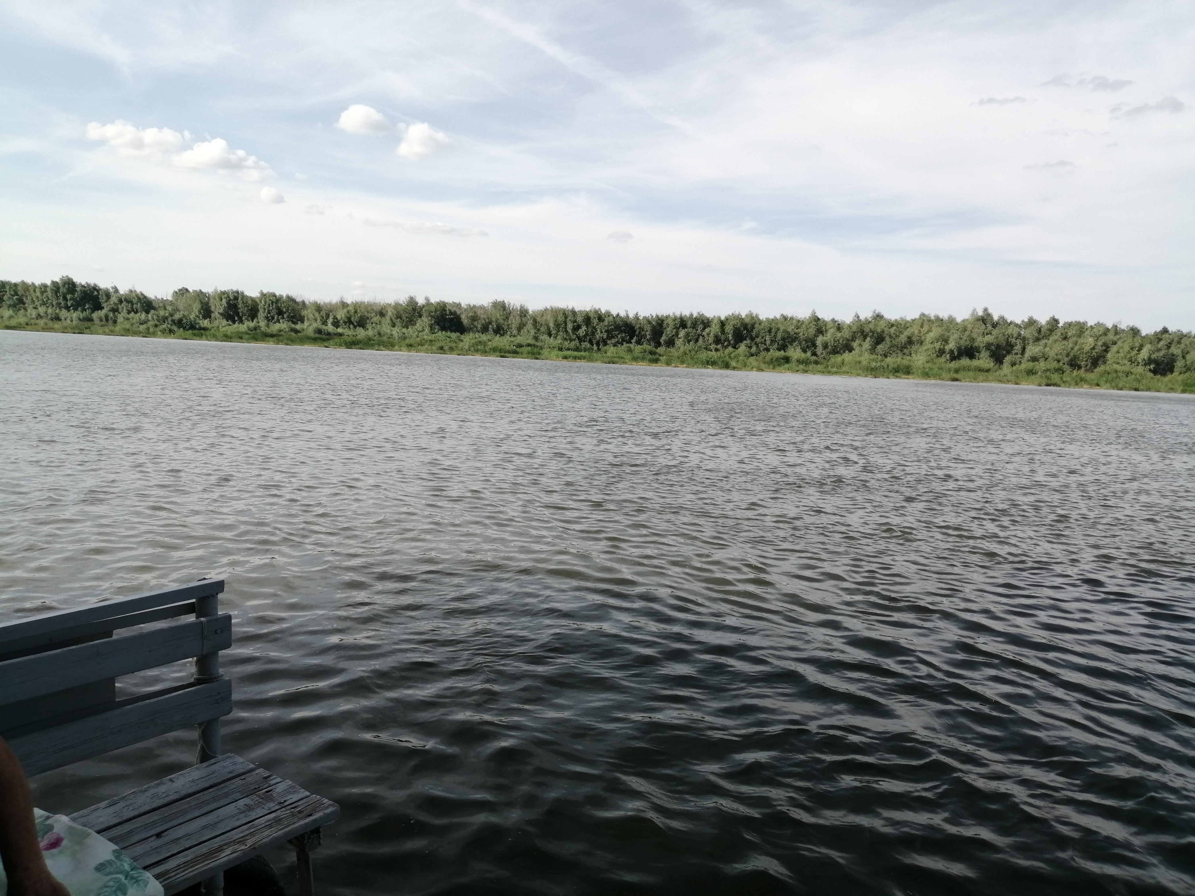 Фото Донская весна