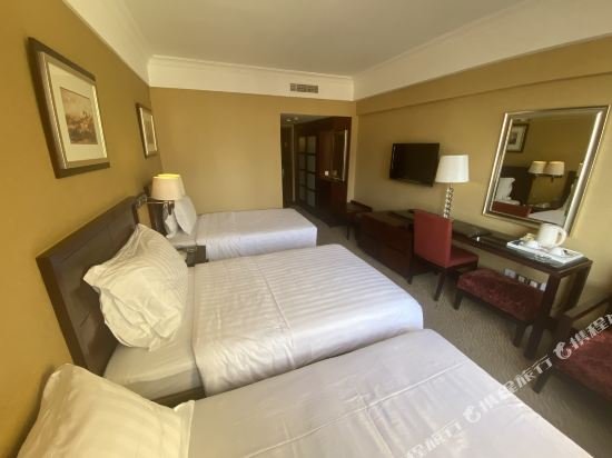 Фото Hotel Presidente