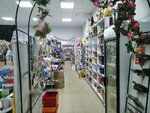 Чёрный кот (Вологодская ул., 30), магазин хозтоваров и бытовой химии в Архангельске