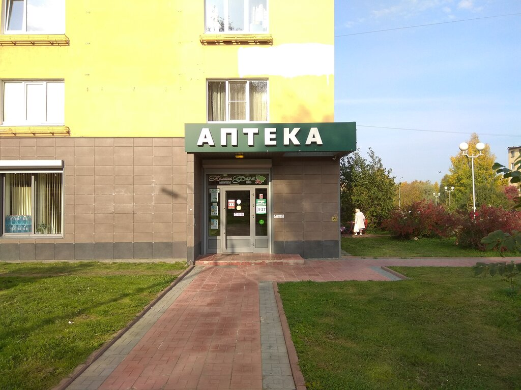 Анохина 5 петрозаводск карта