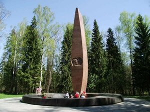 Monumento, memorial Place of death of Yu.A. Gagarin and V.S. Seryogin, , foto