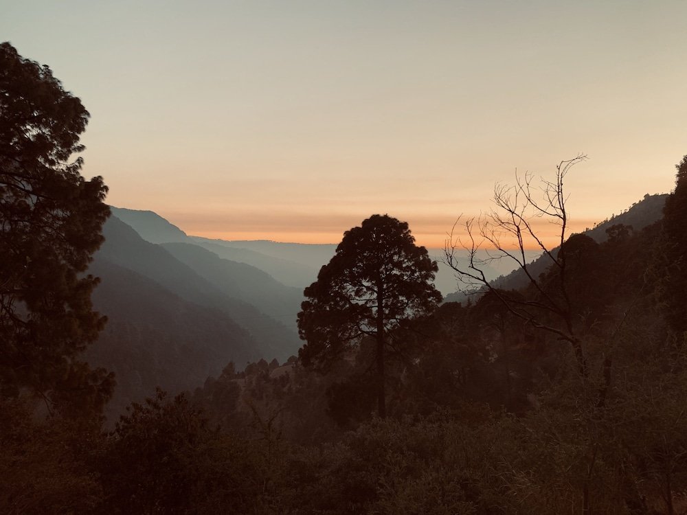 Фото The Cocoon Camps & Nature Resorts