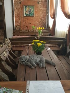 Дом Ершова