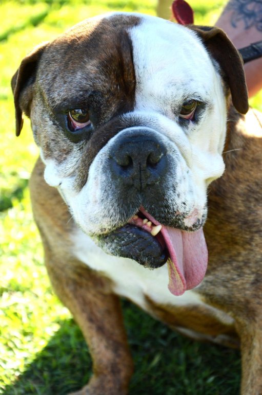 Фото Mackay Seabreeze Apartments