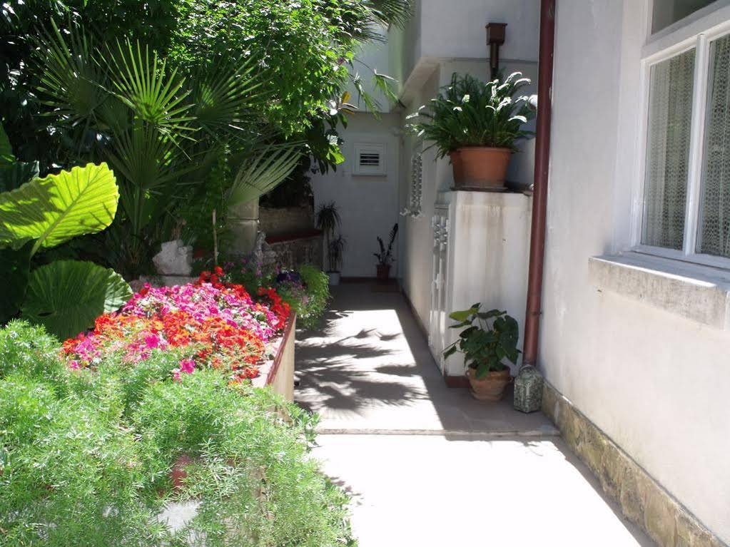 Фото Apartments Noa Old Town