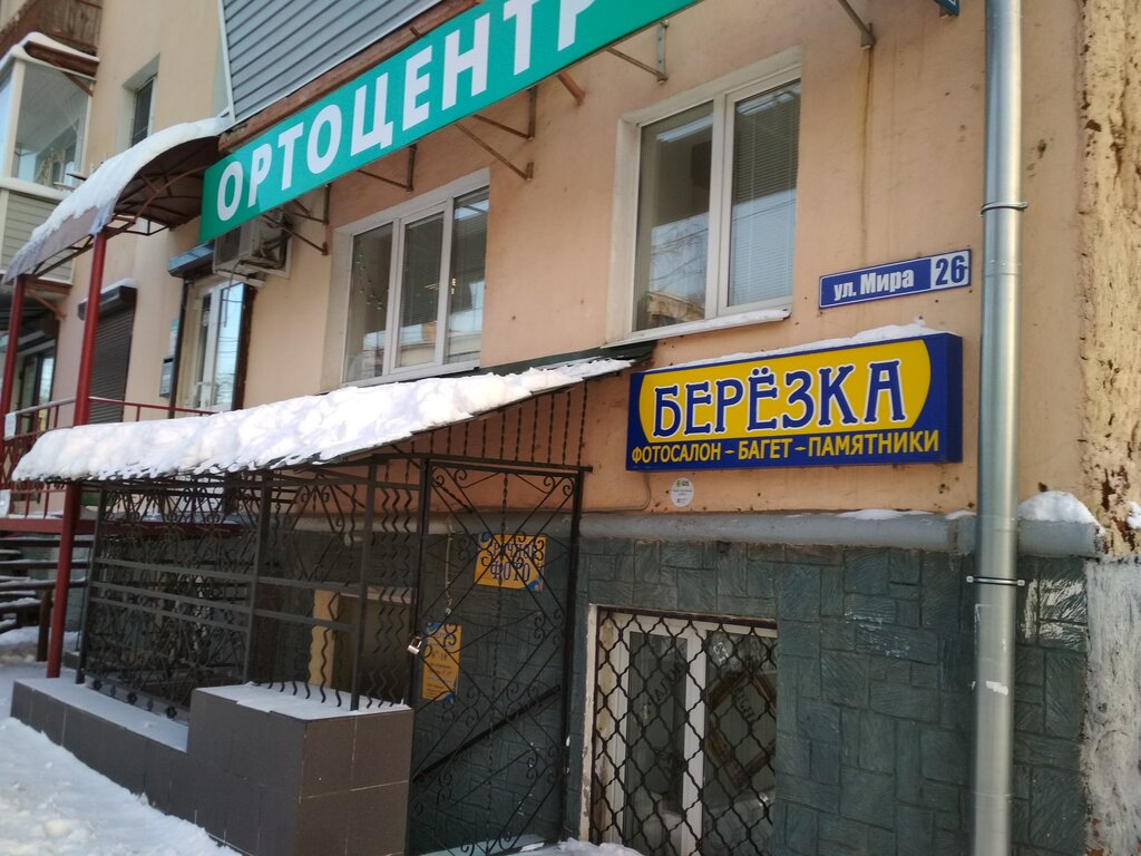 Березка Фото Владимир