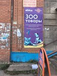 Зоотовары (Sovetskaya ulitsa, 38), tienda de animales