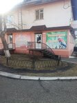 Флора (Kommunisticheskaya ulitsa, 42), flower shop