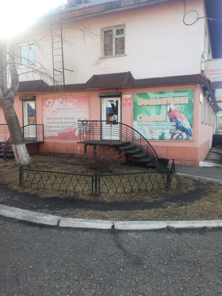 Магазин цветов Флора, Зима, фото