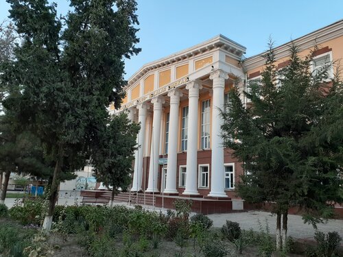 Ayollar mushuklari va vaginalari