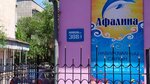 Afalina (Naýaı kóshesi, 308/1), acuarios