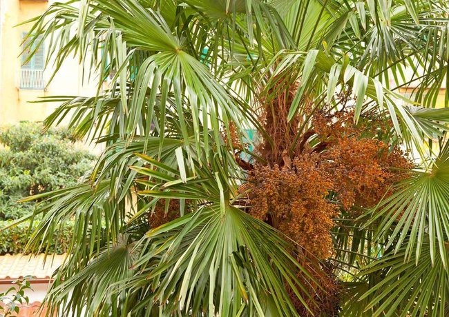 Фото Marcos Beautiful Apartment