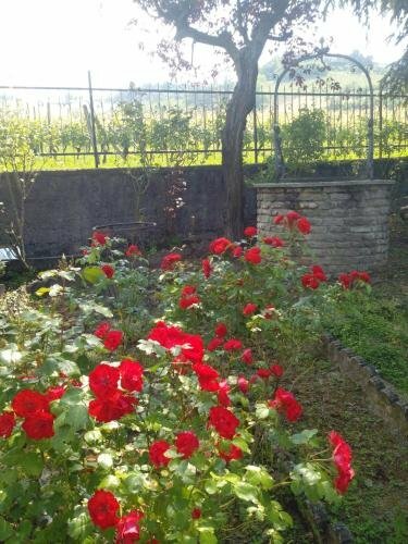 Hotel Casa Badinot, Piedmont, photo