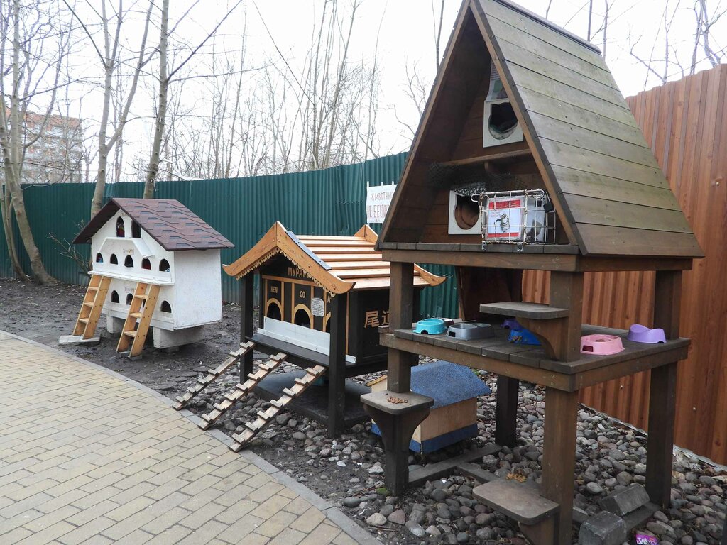 Домики кошек курортный просп 20 зеленоградск фото