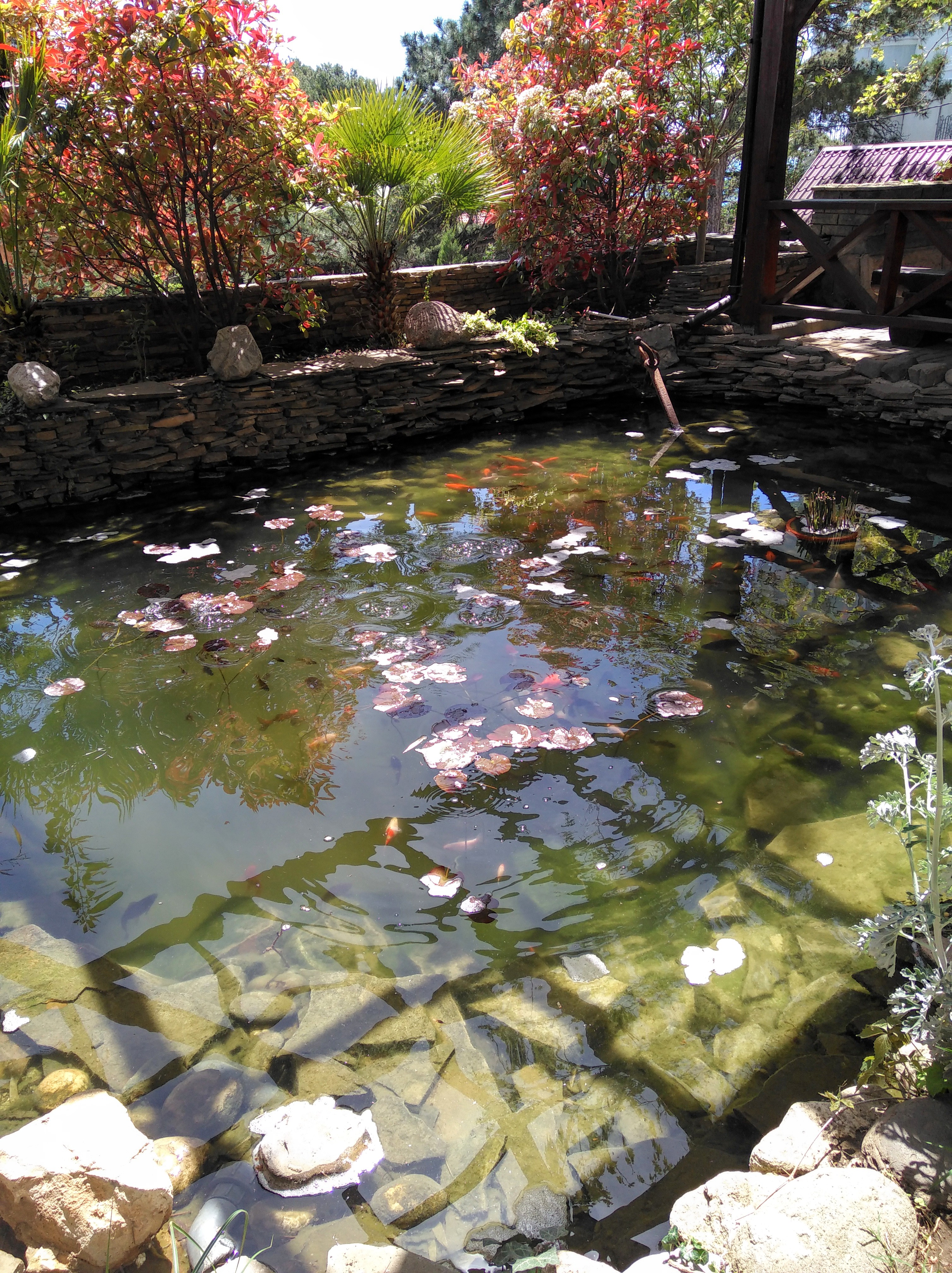 Фото Ай Тодор Юг