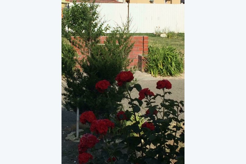 Фото Серебристый лог