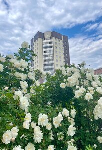 Гостиница Ленинградская АЭС-Авто