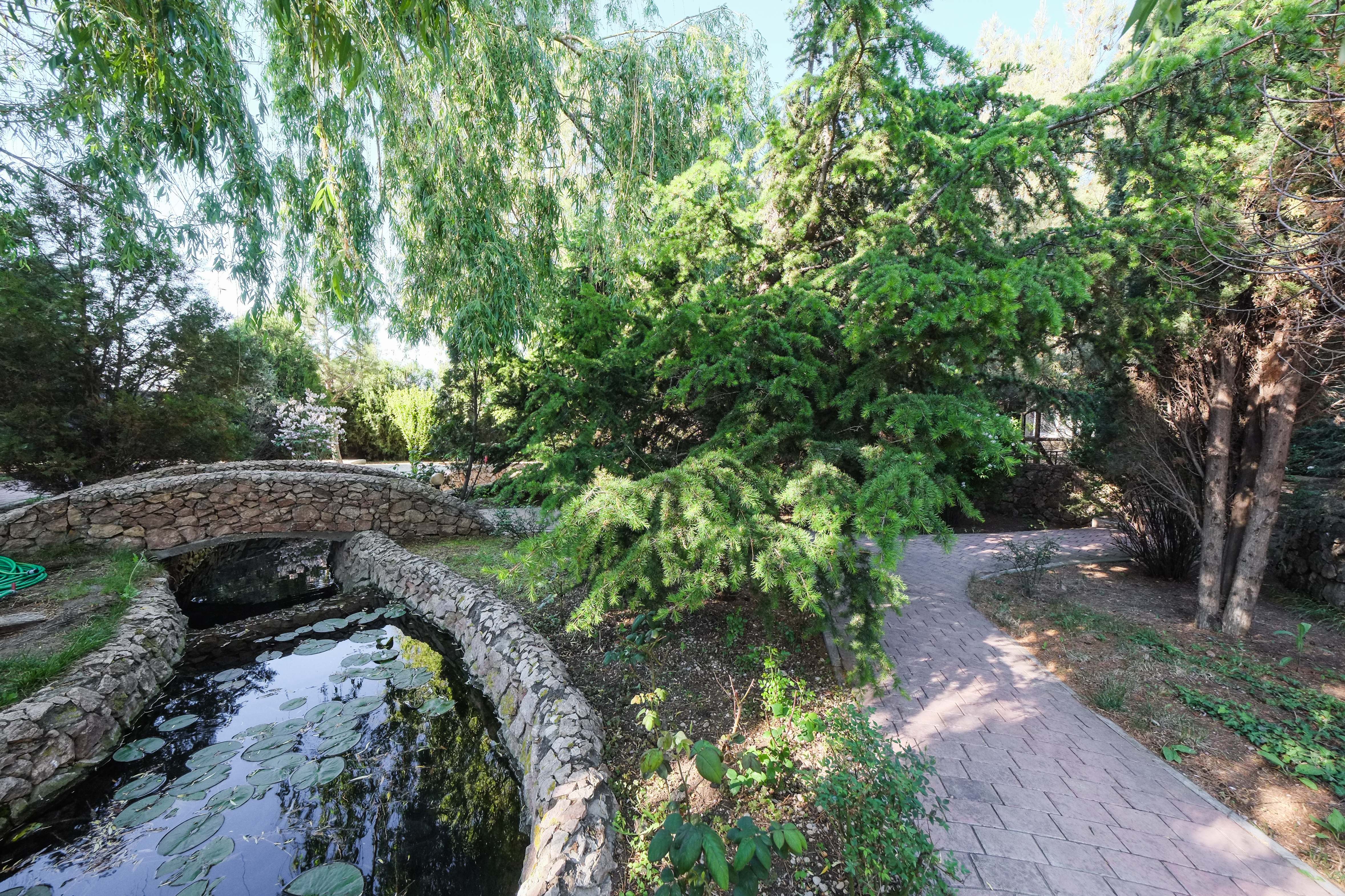 Фото Качинская