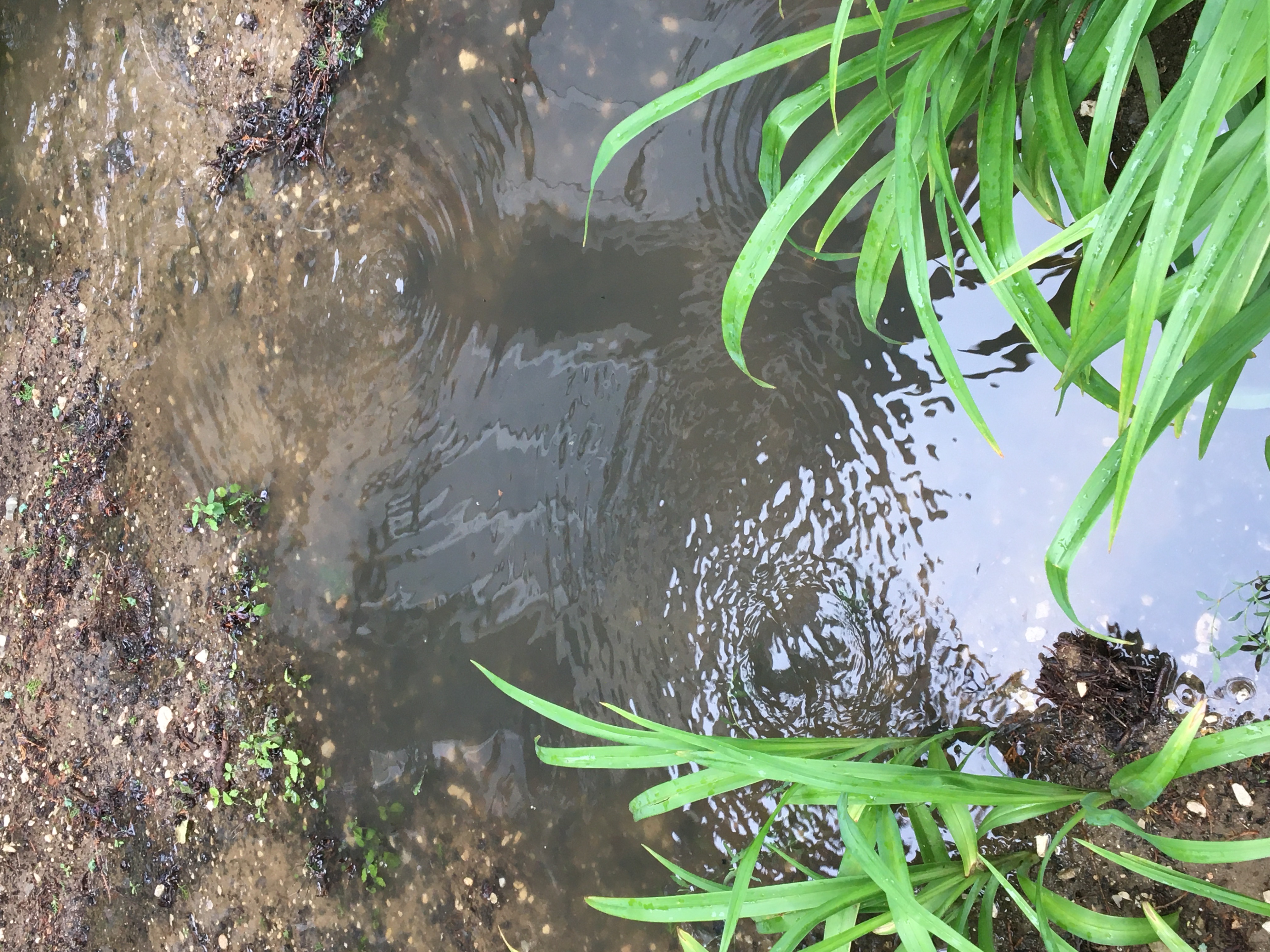 Фото Золотой берег