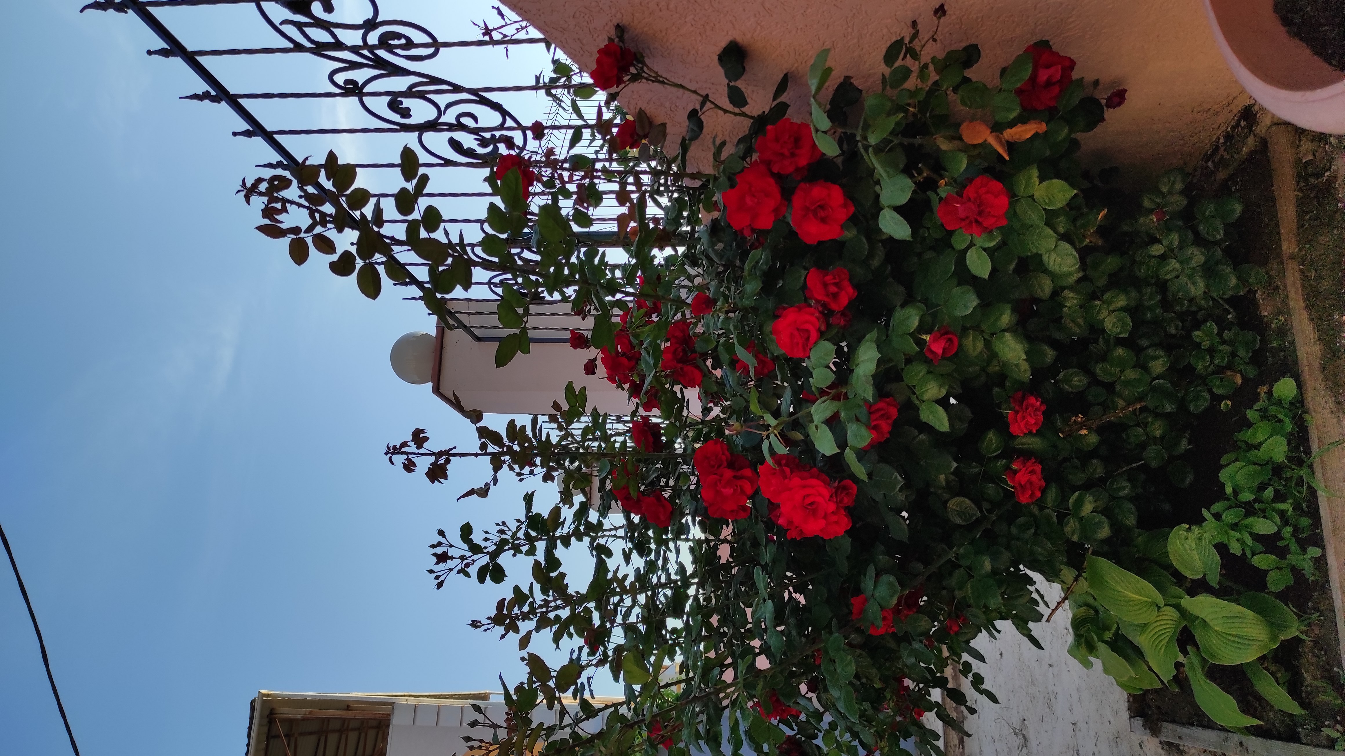 Фото Кëльнер Дом