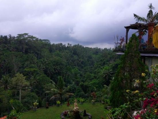 Фото Tirta Asri Ubud Villa