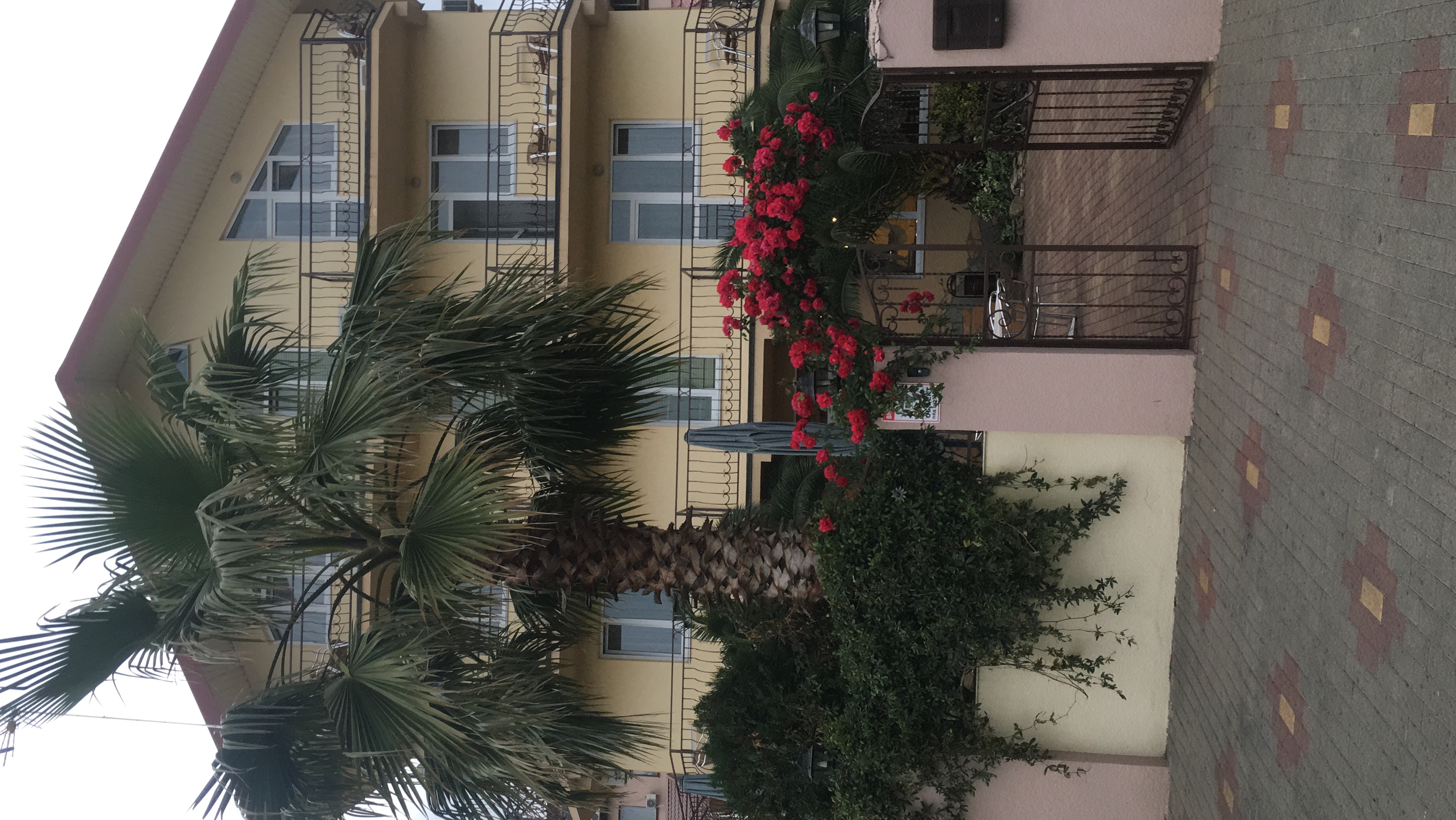 Фото Страна магнолий