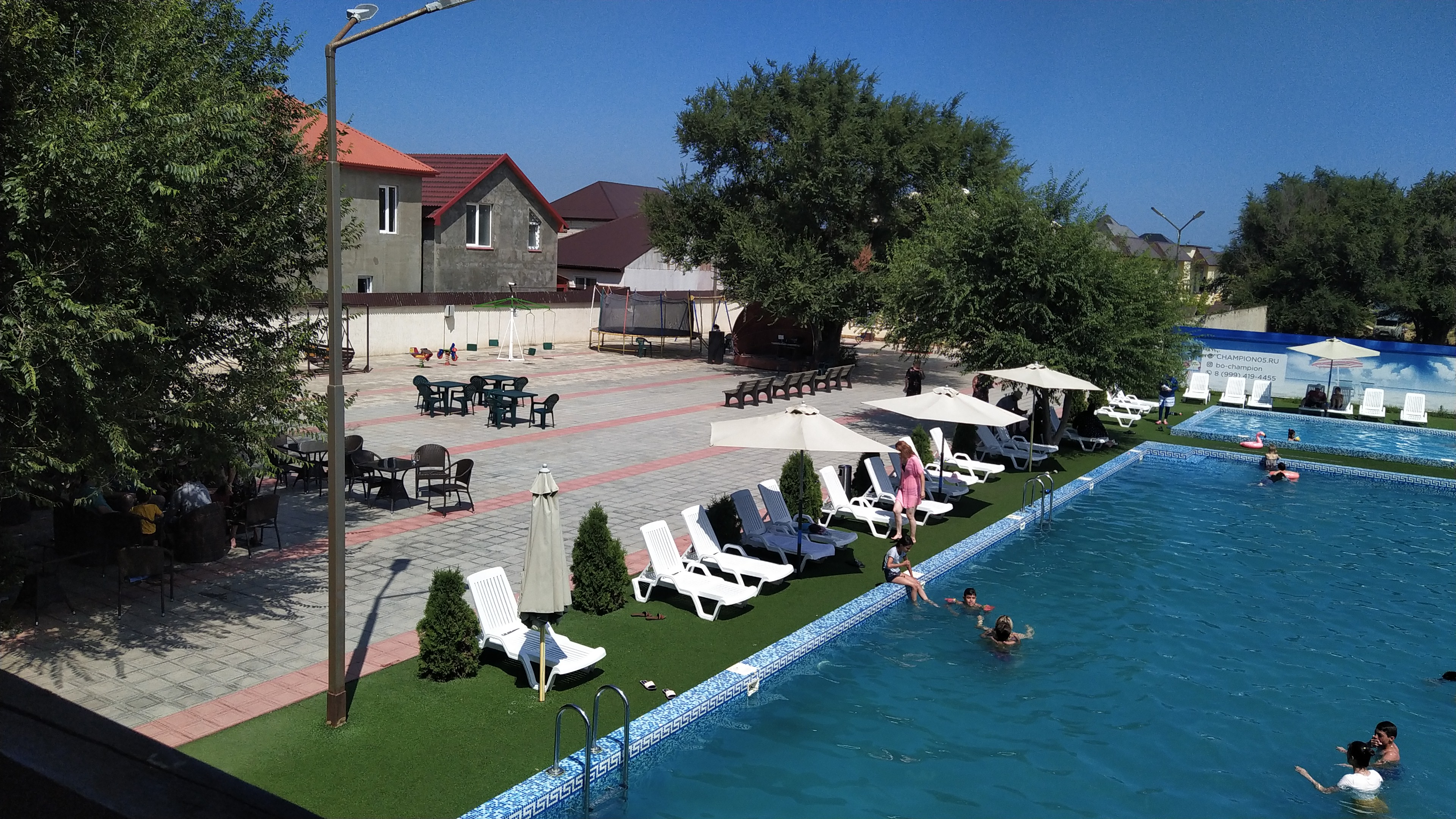 Фото Чемпион