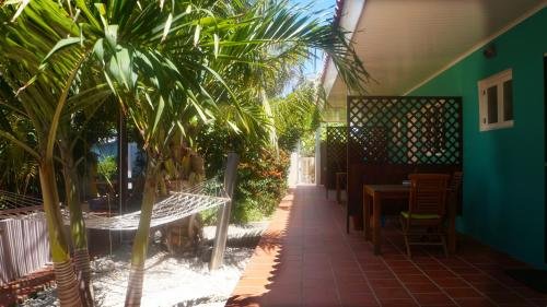 Фото Pauline's Apartments Aruba