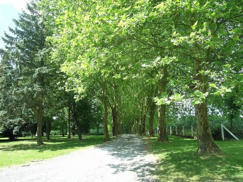 Гостиница Gorgeous Apartment in Bohon With Garden Furniture and BBQ