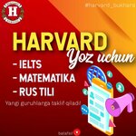 Harvard School (Yuqori Kobdun aholi punkti, Kobdun ko'chasi, 8) ، دورات لغة أجنبية
