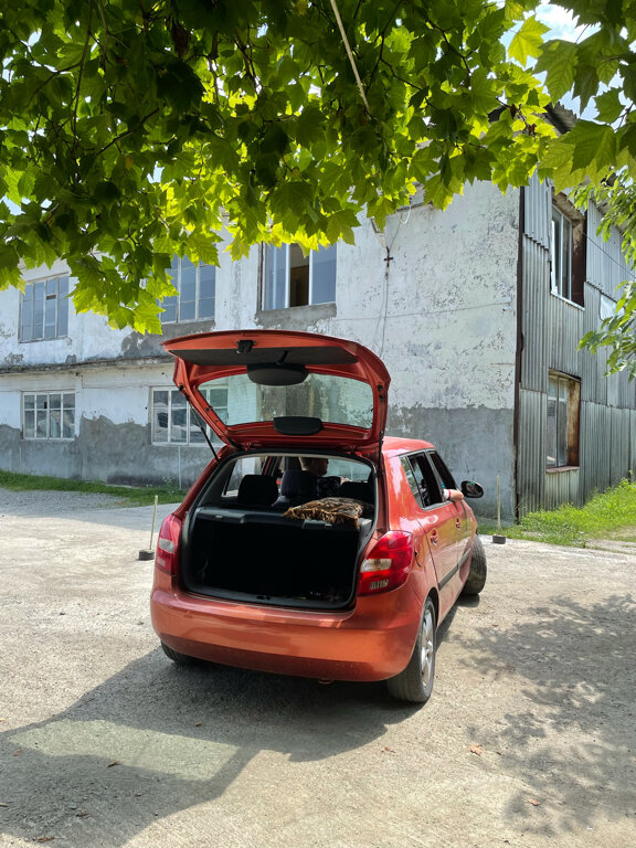 Driving school Автошкола, Kobuleti, photo