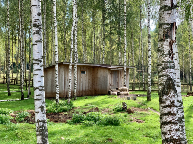 Фото Фермерская усадьба Лесной Берег