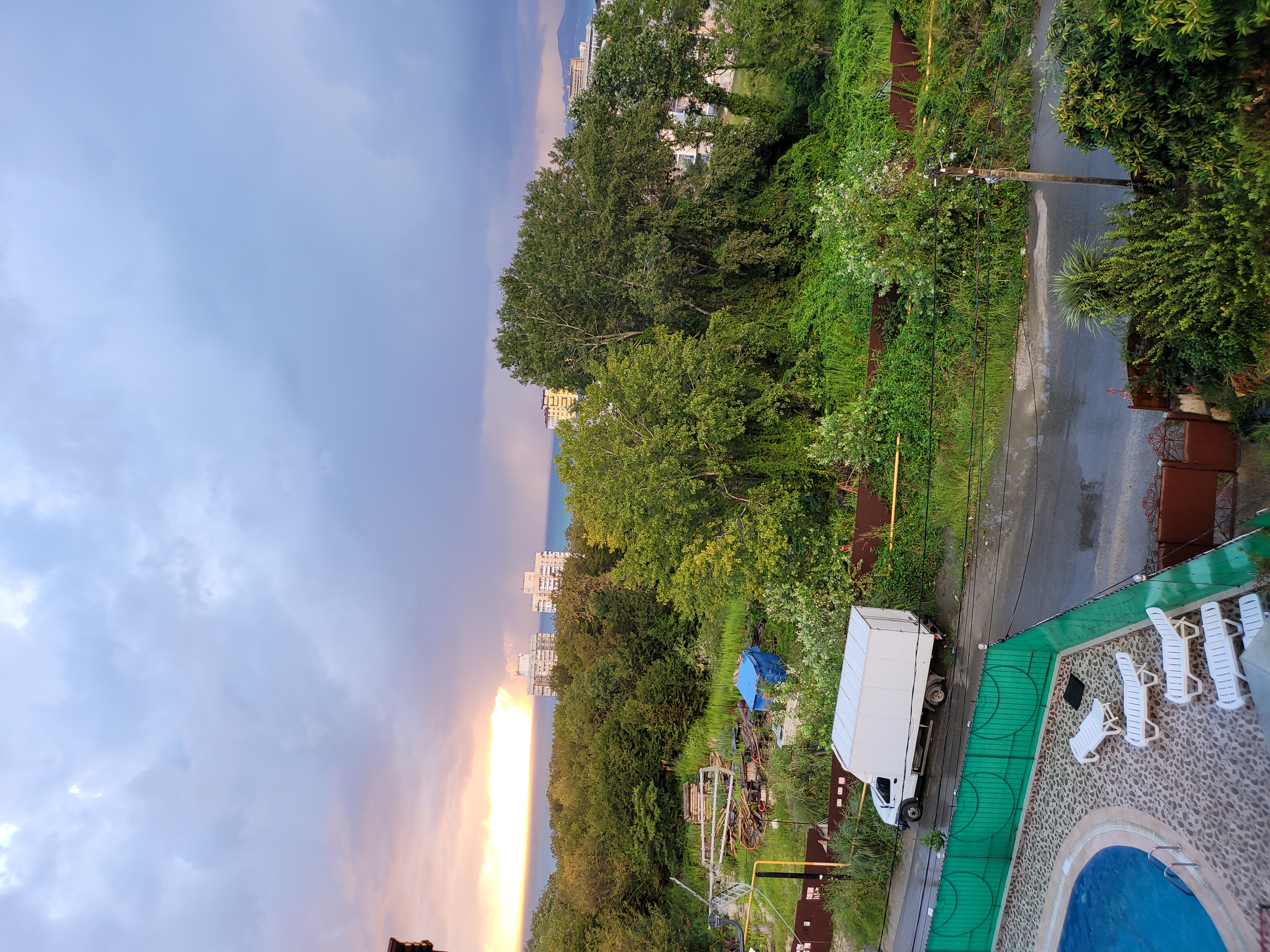 Фото Эдельвейс