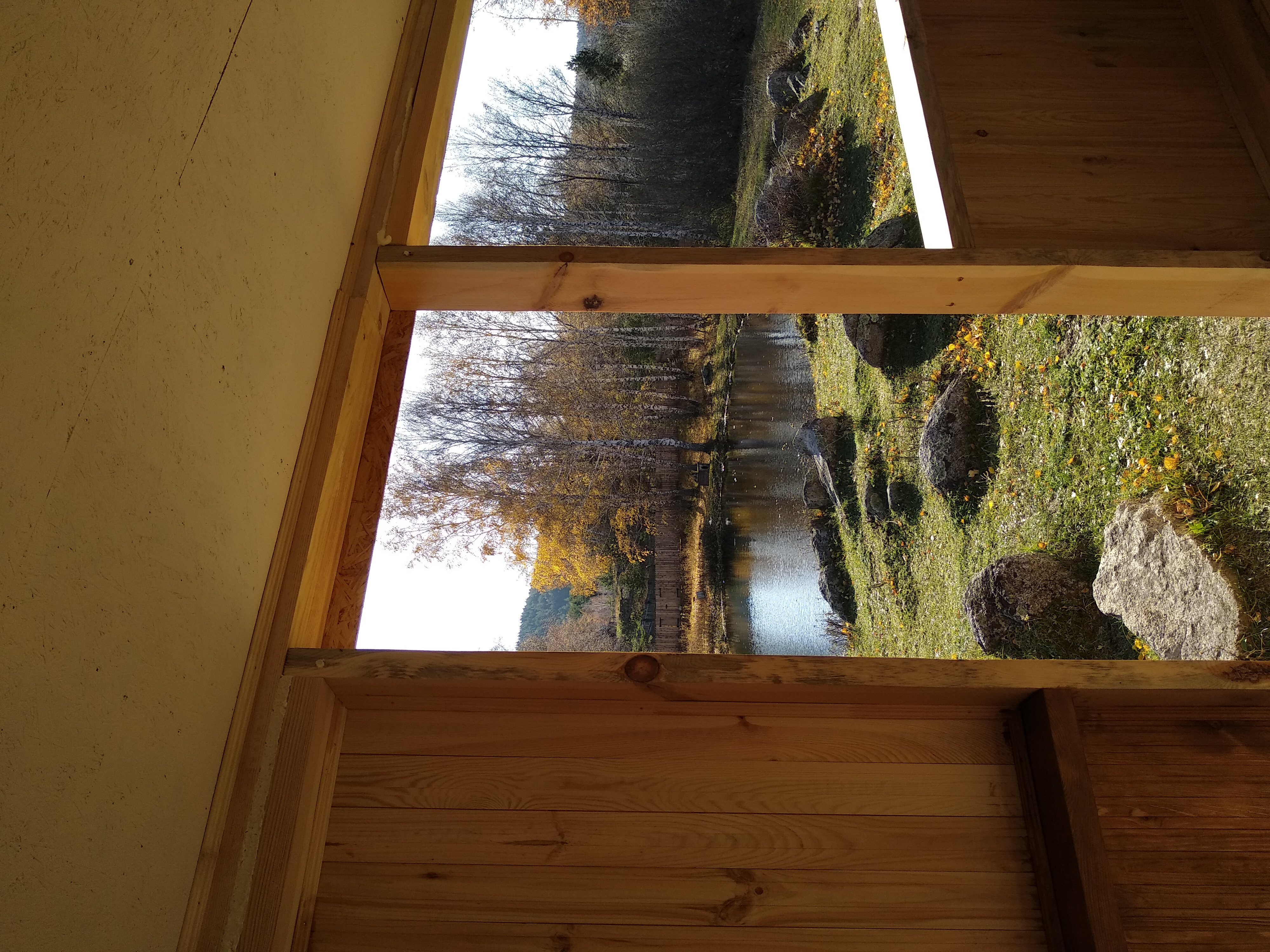 Фото Медная Сова