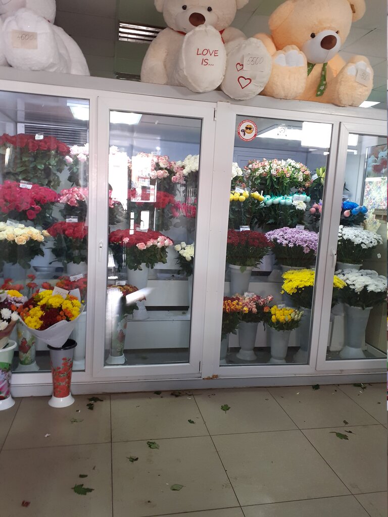 Цветы стерлитамак лима рб каталог цены