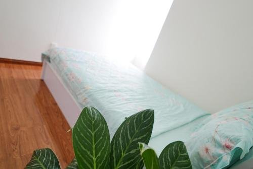 Фото Nui Thanh Hotel