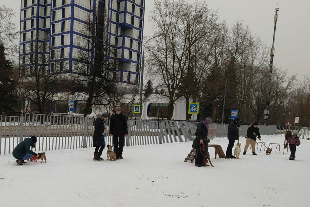 Dog park Dogcity, Moscow, photo