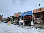 Port (Oktyabrskaya ulitsa, 2А), pescados y mariscos