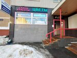 Anat (Lermontovsky Avenue, 12), translation agency